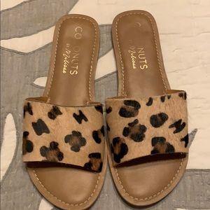 Coconuts Leopard Slides